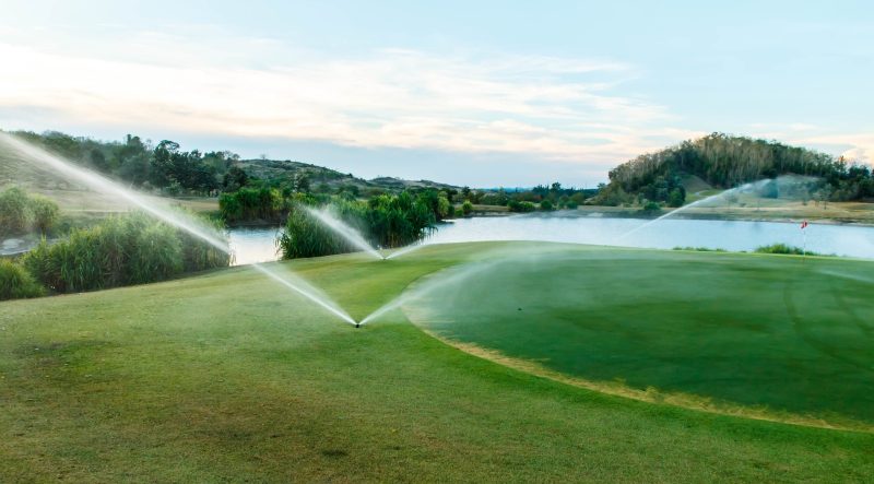Keep Your Lawn Green and Healthy with Reliable Sprinkler Service Near Fort Lupton, CO