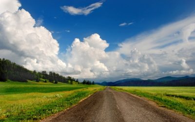 Transform Your Yard With Professional Lawn Care Near Indianapolis IN For Lasting Results