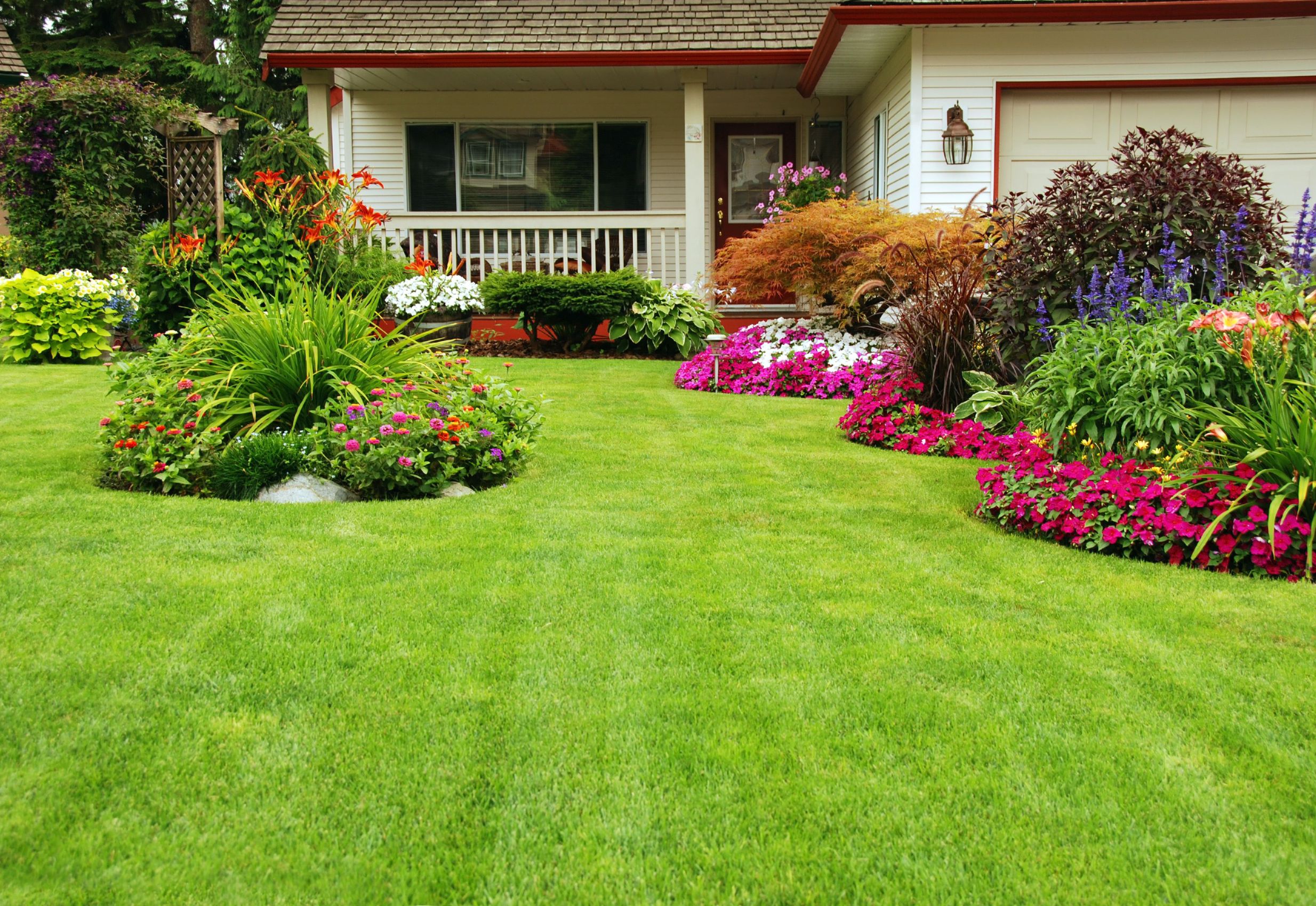Achieve a Lush Backyard with RTF Grass Seed for High Traffic and Quick Recovery