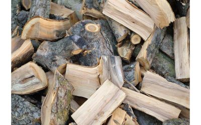 Enjoy Cozy Evenings at Home With Firewood Delivery Near Freehold NJ for Fast Comfort