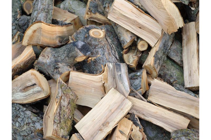 Enjoy Cozy Evenings at Home With Firewood Delivery Near Freehold NJ for Fast Comfort