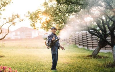 Protect Your Family and Pets with Effective Tick Control Plymouth County MA Solutions