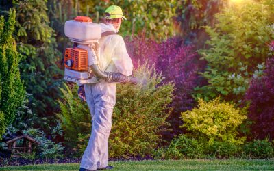 Improve soil quality fast using a lawn aeration service in Gainesville, VA, for thicker lawns