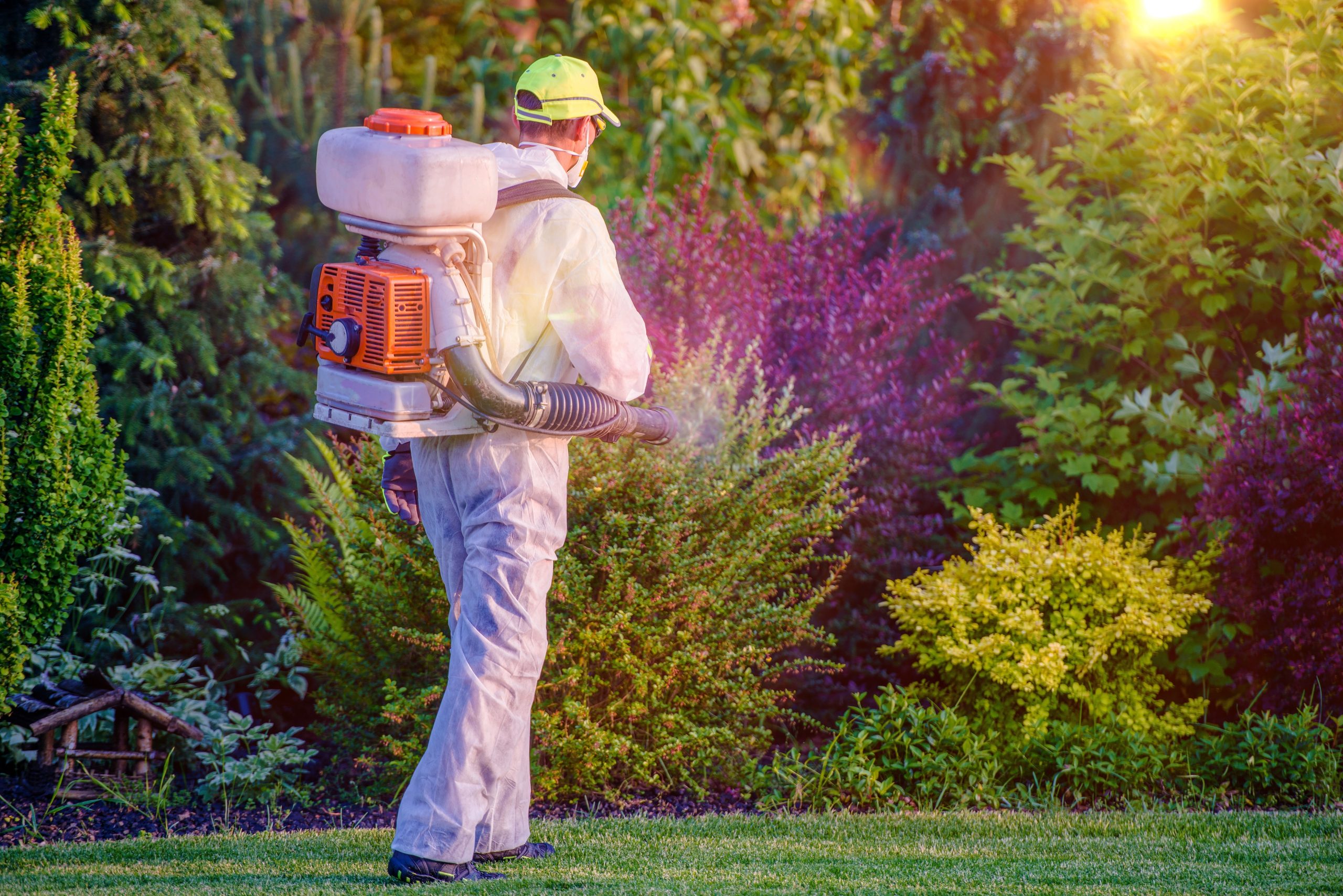 Improve soil quality fast using a lawn aeration service in Gainesville, VA, for thicker lawns