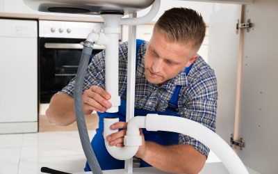 For homeowners needing urgent repairs, plumbers in LaGrange, GA, offer fast solutions for every problem