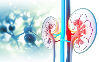 Expert kidney care available with Nephrology Wauwatosa WI for your long-term health needs