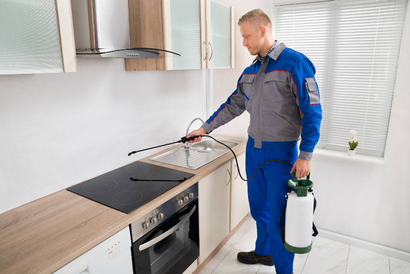 Enjoy Peace of Mind at Home With a Pest Control Service Crown Point IN Residents Trust