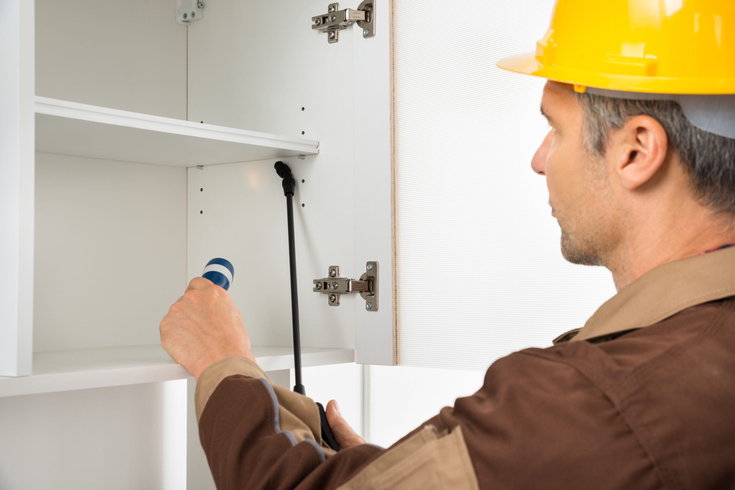 How a Local Pest Control Company in Newport News, VA Protects Your Home from Common Infestations