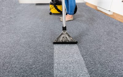 Expert Carpet Care Services Near Beloit, WI