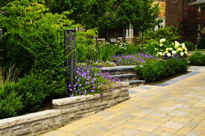 Transform Your Outdoor Space with Landscape Design Charlottesville for Lasting Curb Appeal