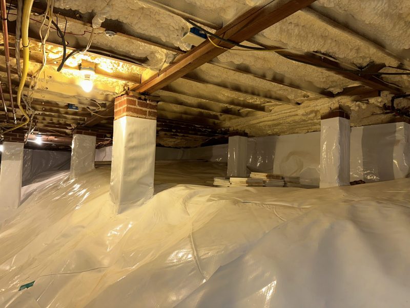 What to Expect From a Mold Inspection in Macon, GA, Homeowners Trust