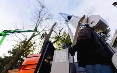 How Tree Crane Senoia, GA, ensures safe tree removal in tight spaces