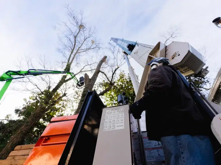 How Tree Crane Senoia, GA, ensures safe tree removal in tight spaces