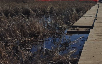 Enhance Your Construction Project Efficiency With Composite Mats For Rent Across the USA