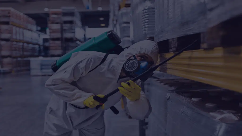 Say Goodbye To Home Invaders With Local Exterminators In Peachtree City, GA Solutions