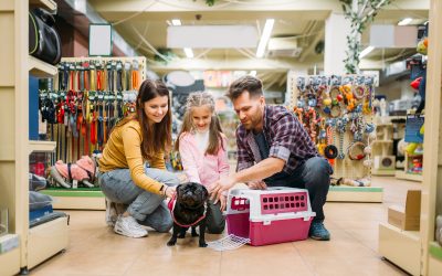 Shop premium pet essentials with Dog Supply Boutique Des Moines IA for happy healthy pups
