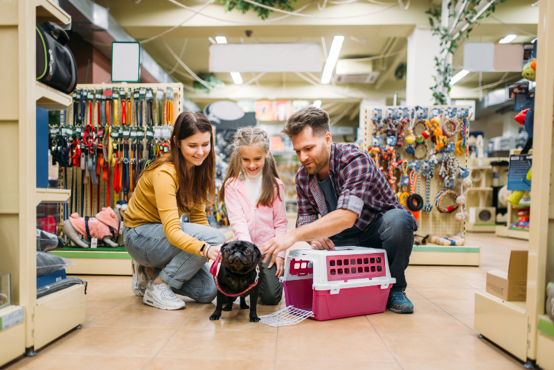 Shop premium pet essentials with Dog Supply Boutique Des Moines IA for happy healthy pups
