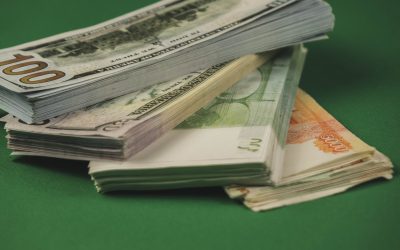 How Reasonable Steps Verification Protects Issuers from SEC Enforcement Actions