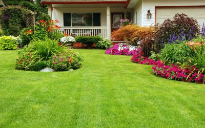 Benefits of Using River Rock For Landscaping in Phoenix, AZ, in Water-Smart Yards
