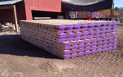 Why Durabase Is Revolutionizing Home Projects Across the United States