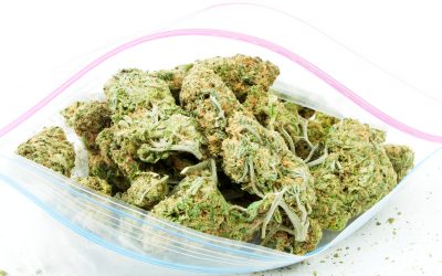 Unmatched Convenience Awaits When Buying THCA Products Online From Home