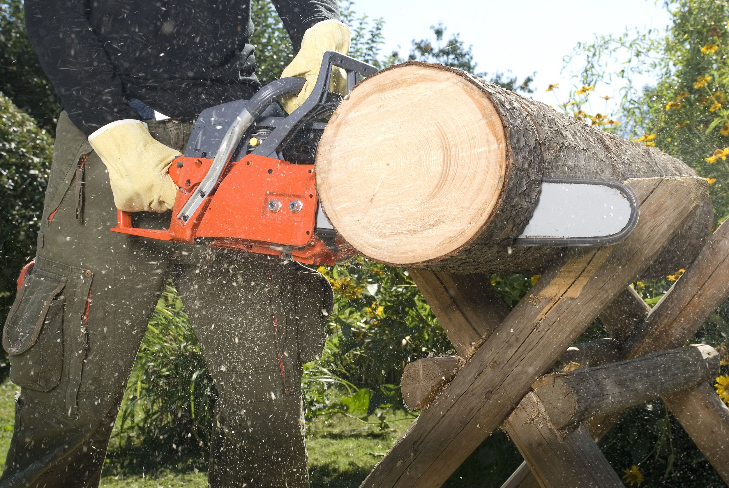 Ensure Property Safety and Appeal with Commercial Tree Service Carson City, NV Solutions