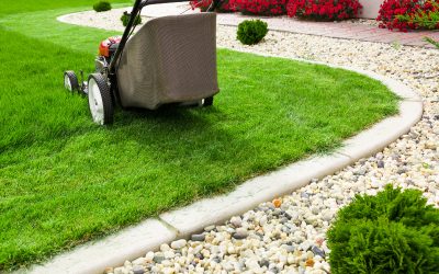 Experience Quality Equipment Options from a Lawn Tractor Dealer in Spring Grove PA