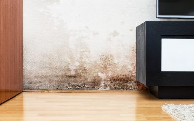 When to Consider Popcorn Ceiling Removal in Holly Springs GA