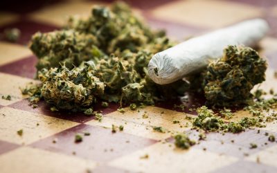 A Consumer’s Guide to Lab Testing for THCA Exotic Flower in the USA