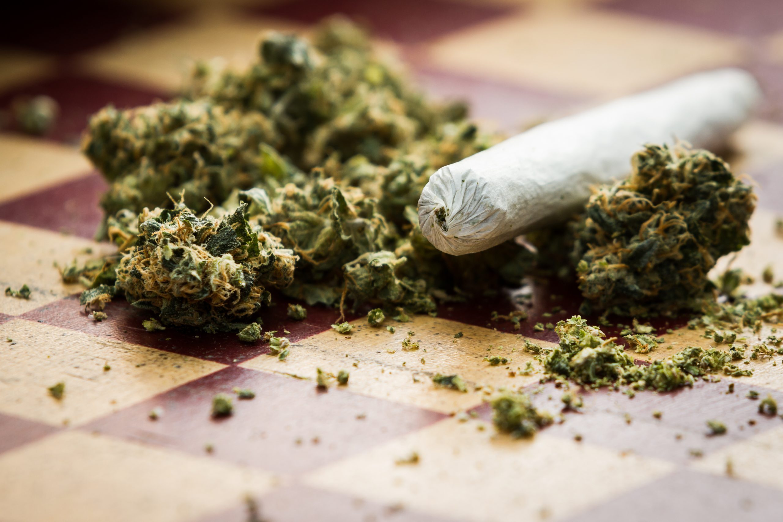 A Consumer’s Guide to Lab Testing for THCA Exotic Flower in the USA