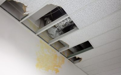Fast Solutions for Water Damage Restoration in Joliet, IL That Save Your Home and Health